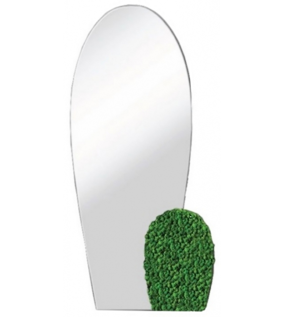 Ready for shipping - Cactus Bonaldo Mirror